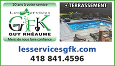 Les services GFK